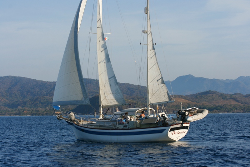 A white sailboat with a blue stripe with the sails up, sailing downwind.